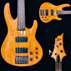 Used LTD Bass